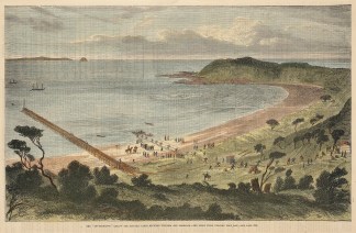 The “Investigator” Laying th… Regional