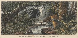 Pigeon Bay Creek, Banks's Peninsula, New Zealand.