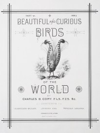 Part VI 1883 Beautifull and Curious Birds of the World