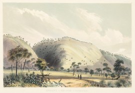 Entrance to the Gorge at Yankalilla.