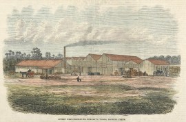 Sydney Meat-Preserving Company’s works, Hacking Creek. AUSTRALIA Sydney Meat-Preserving Company's works, Hacking Creek.