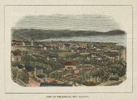 View of Wellington, New Zealand.