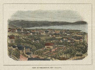 View of Wellington, New Zealand. NEW ZEALAND