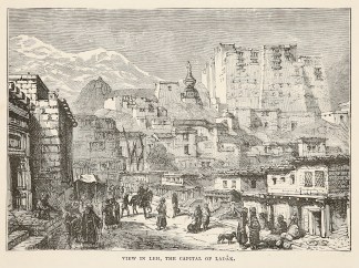 View in Leh, the Capital of Ladak. India