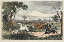 Station Life in New South Wales.-Yarding Horses. AUSTRALIA