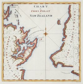 Chart of Cook’s Strait in New Zealand. Acquisitions Maps Chart of Cook's Strait in New Zealand.